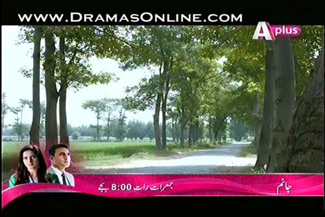 Kaneez Episode 19 on Aplus in High Quality 26th October 2014 watch online on dailymotion part 1