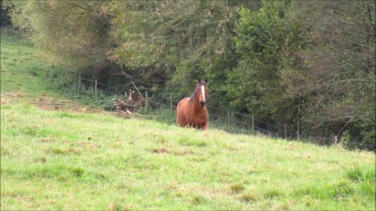 Lou' - 26 Octobre 2014