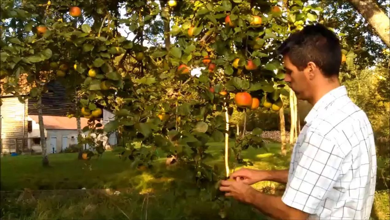 Mariage Claudine et Guillaume