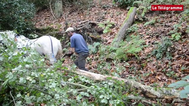 Paimpol. La nature a bon goût à Beauport