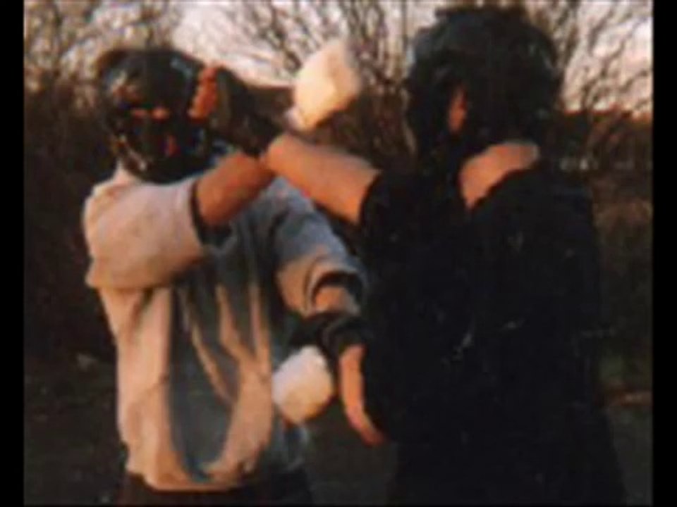 Inspiration of Ving Tsun (WWBA) – Google+5