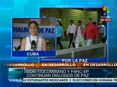 Proponen FARC crear Registro Nacional de víctimas del conflicto