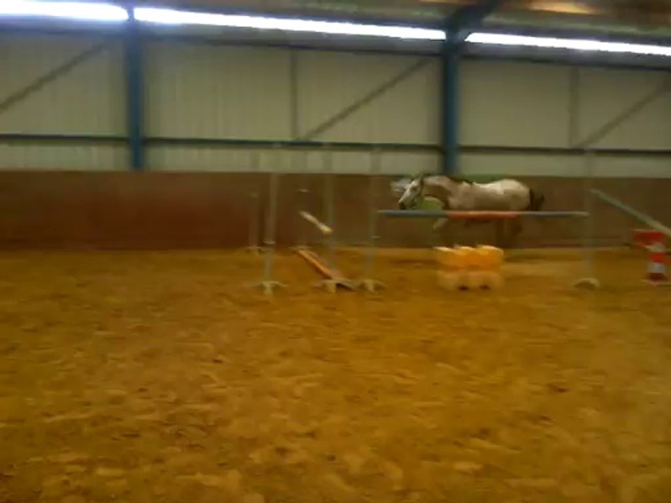 Aliénor des Charmes, 1ère séance saut en liberté
