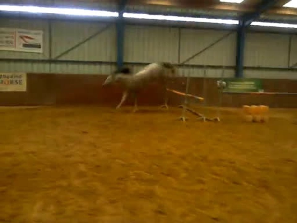 Alienor des Charmes, saut en liberté 23 oct 2014