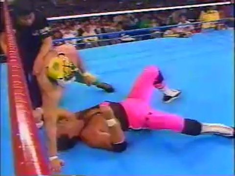 Bret Hart vs Tiger Mask II (Misawa) 1990-04-13 - WWF AJPW Wrestling Summit