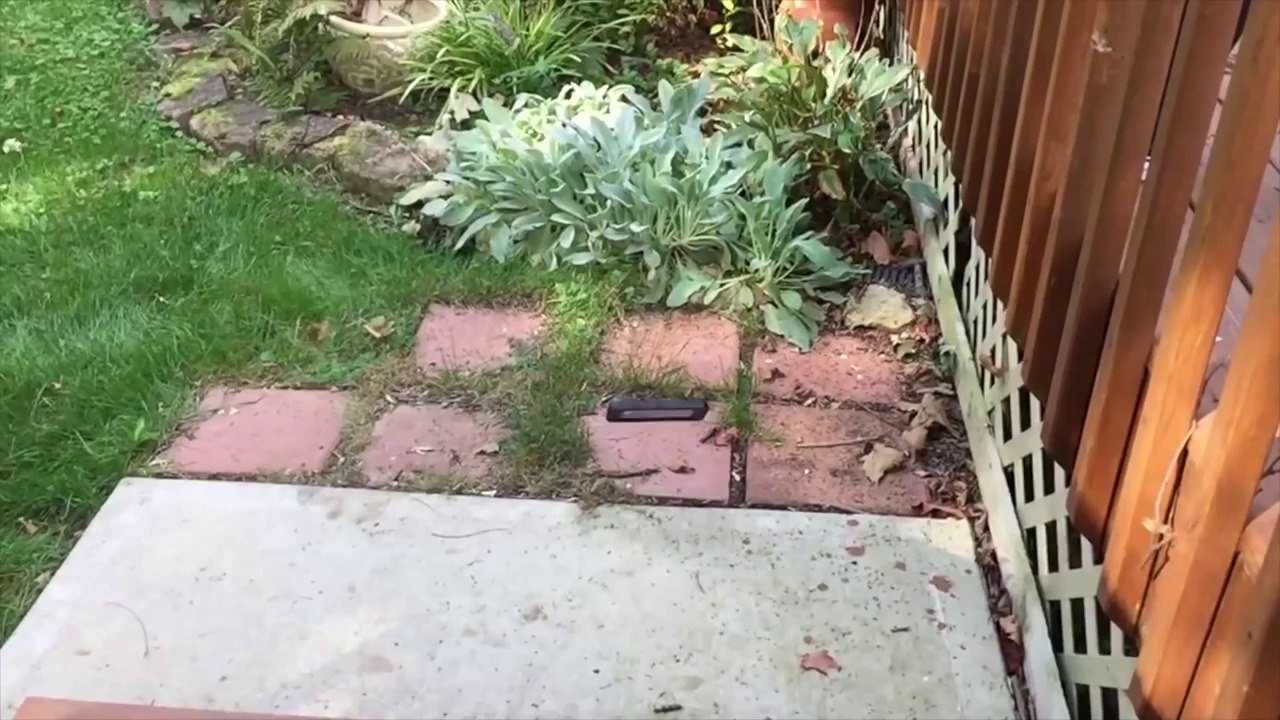 Otterbox Defender iPhone 6 Drop Test!