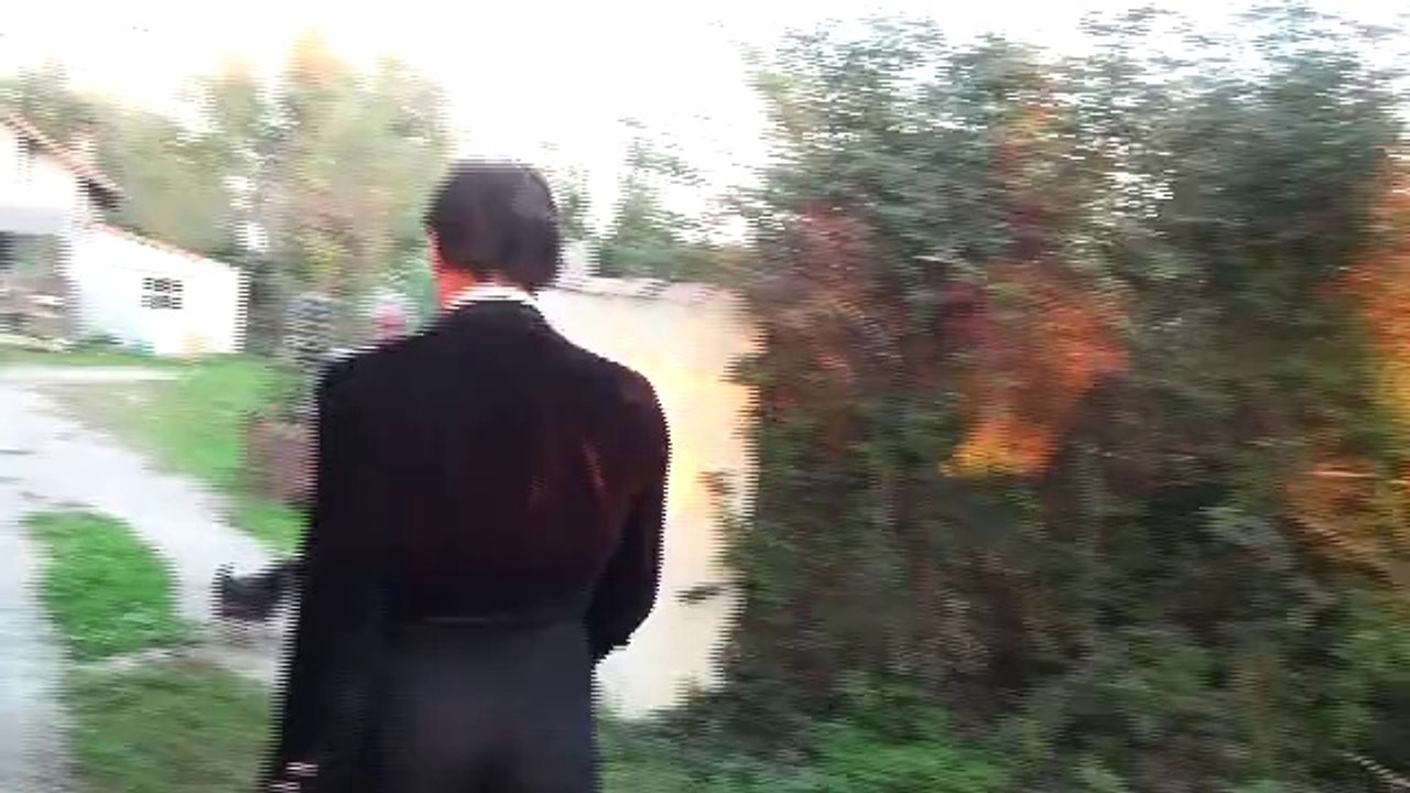 Frascuelo à Gimeaux