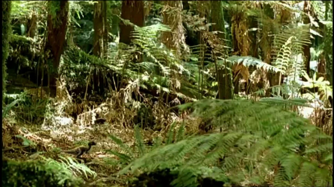 Sur la terre des dinosaures (1999) - Episode 4/8: les lutins des glaces