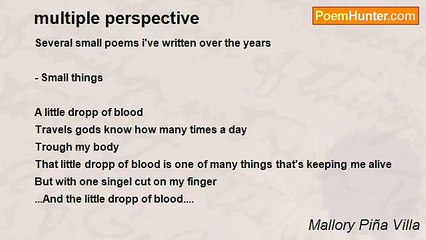 Mallory Piña Villa - multiple perspective