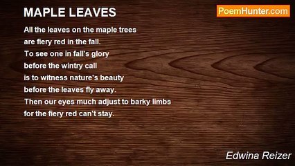 Edwina Reizer - MAPLE LEAVES