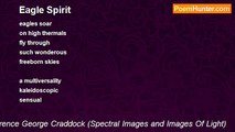 Terence George Craddock (Spectral Images and Images Of Light) - Eagle Spirit