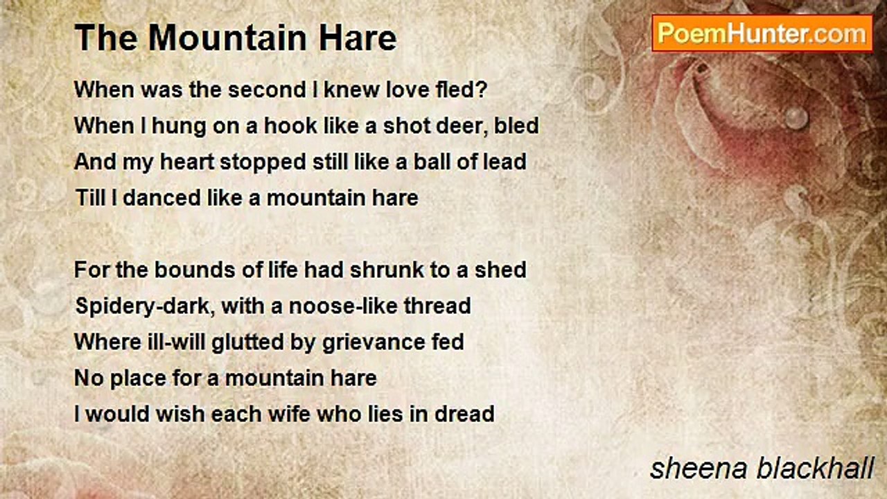 sheena blackhall - The Mountain Hare