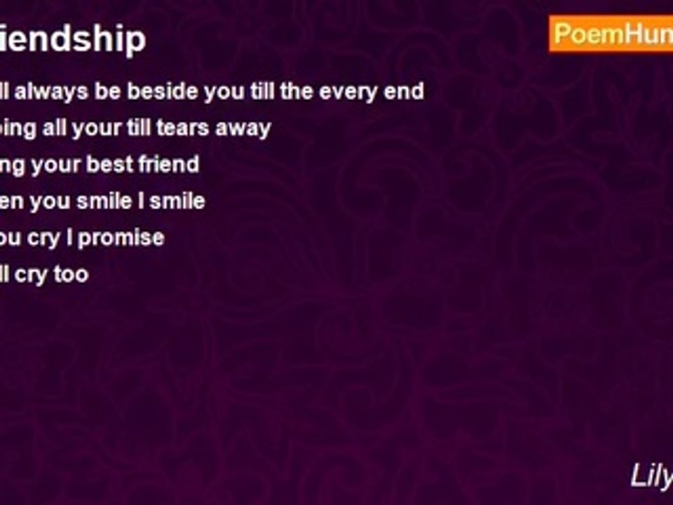 Lily Flower - Friendship