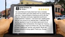 5-StarReview for Dorsey Services, Inc. by Georgia J.         Wonderful         Five Star Review by Georgia J.