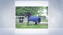 Cheap Horse Rugs
