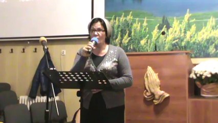 Mariana Nedelea - O călător zdrobit...