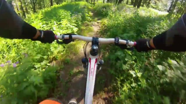 Enduro VTT - Descente du Forest et Vallon à Vars