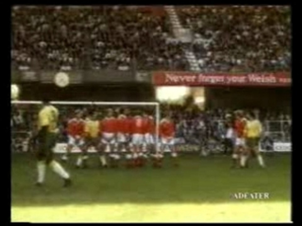 PUB TV - THE MILD CIGAR