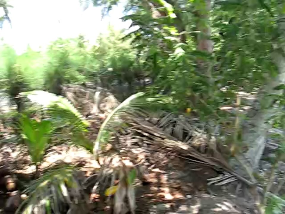 Brian Cometa at the Empty beach in Moorea, Tahiti