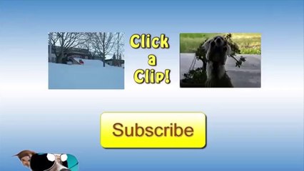 [+18 ~ Sexy Funny Girl]How To Teach A Dog To Tap Dance