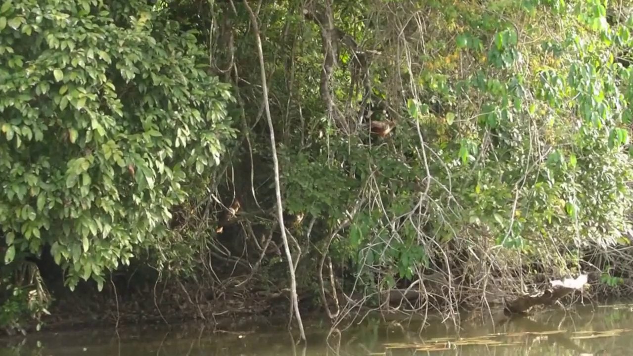 Puerto Maldonado vol. 1