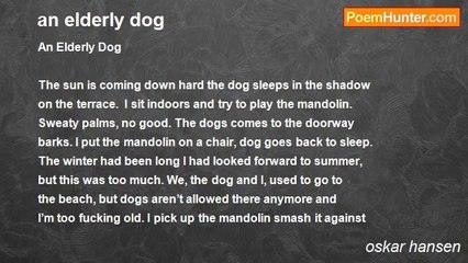oskar hansen - an elderly dog