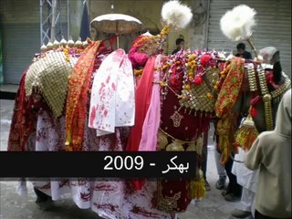 Al Amaan Chakwal Party (Bhakkar 1)