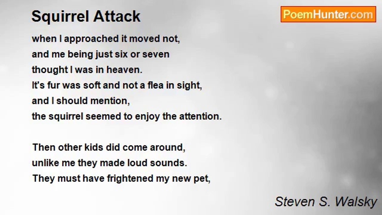 Steven S. Walsky - Squirrel Attack