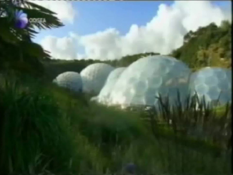 Fotosintesis: Origen del oxigeno (Proyecto Eden)