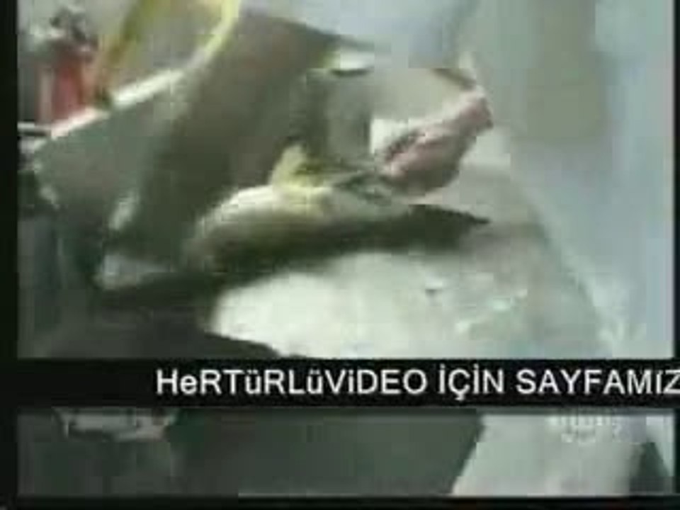 Canlı balık yiyorlar