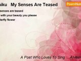 A Poet Who Loves To Sing ....AlvesHolmes - Haiku   My Senses Are Teased