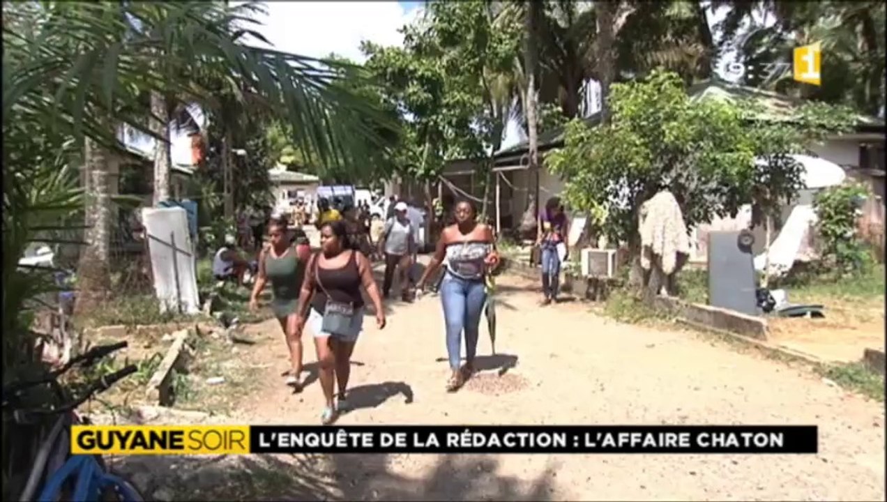Dossier châton