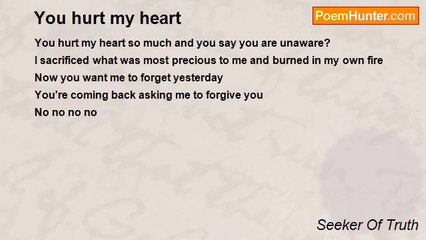 Seeker Of Truth - You hurt my heart