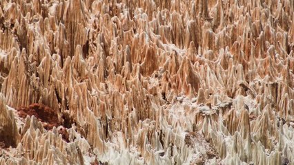 Les Tsingy rouges de Madagascar