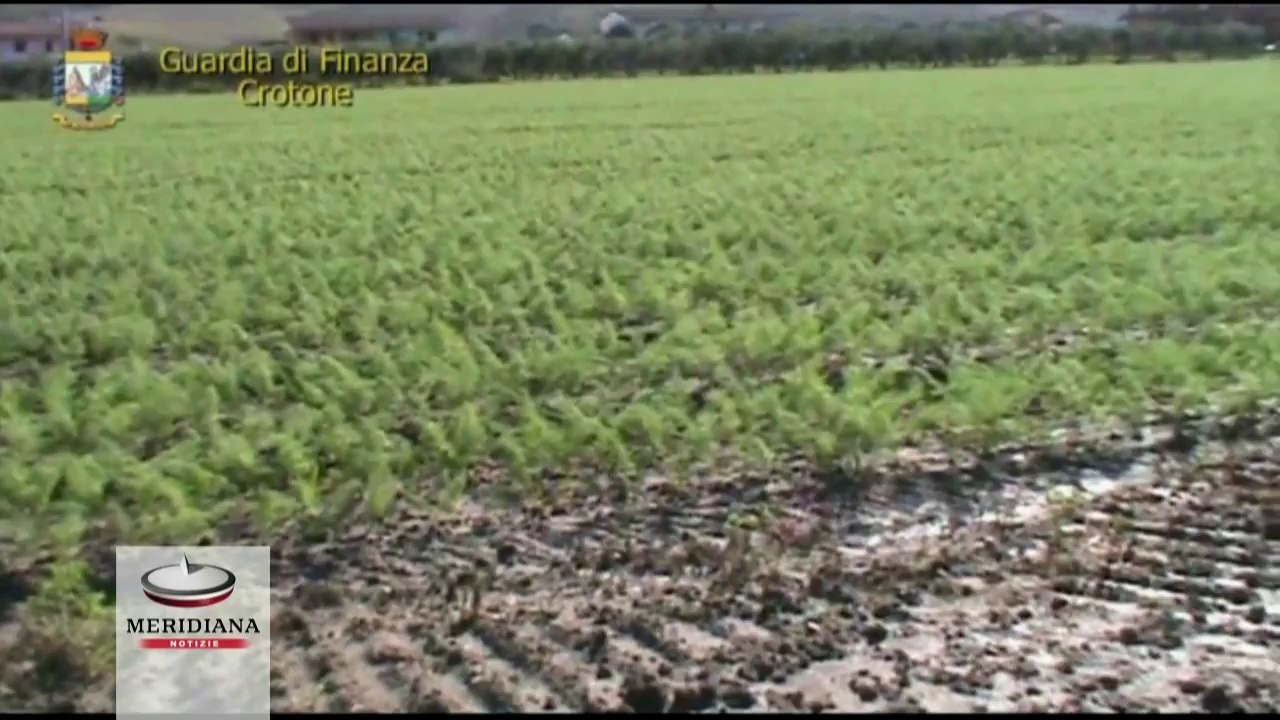 Falsi braccianti scoperti a Crotone, evasione fiscale da 500mila euro