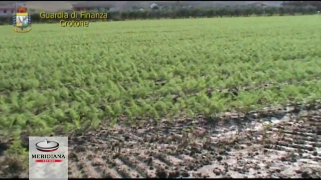 Falsi braccianti scoperti a Crotone, evasione fiscale da 500mila euro