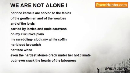 Metin Sahin - WE ARE NOT ALONE I