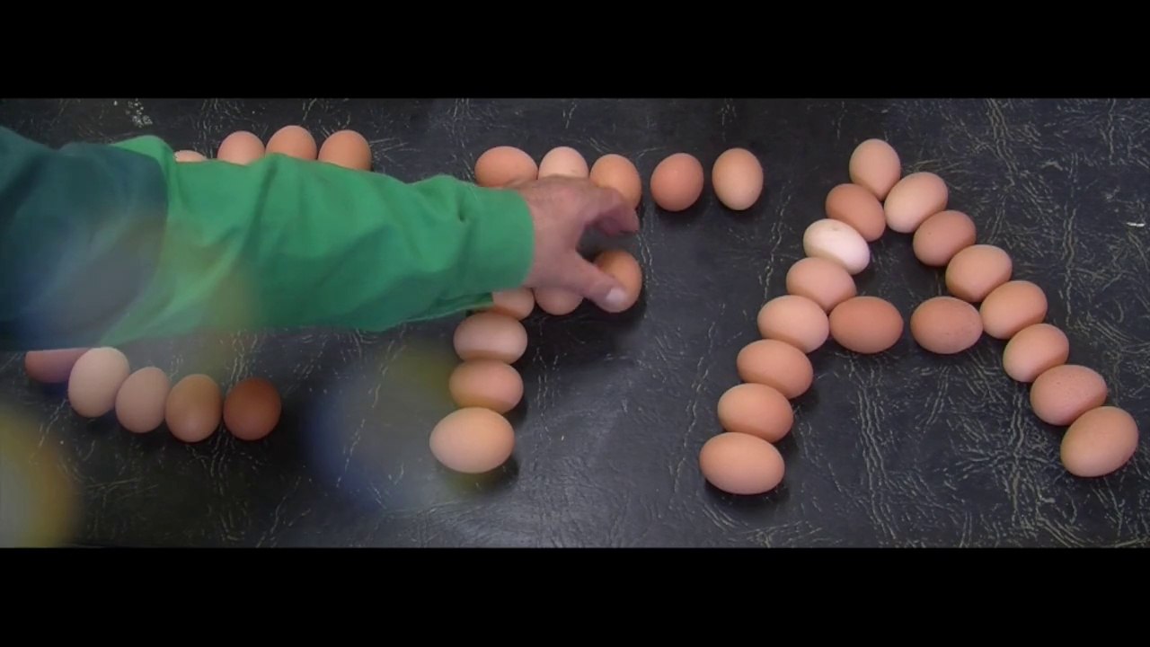 Congrès CFA - Présentation de la filière des Pays de la Loire