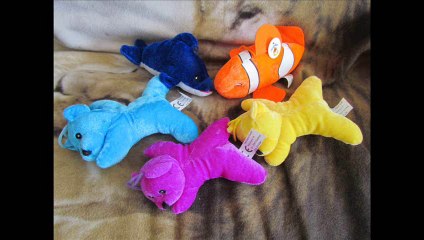 Bon Anniversaire Maya