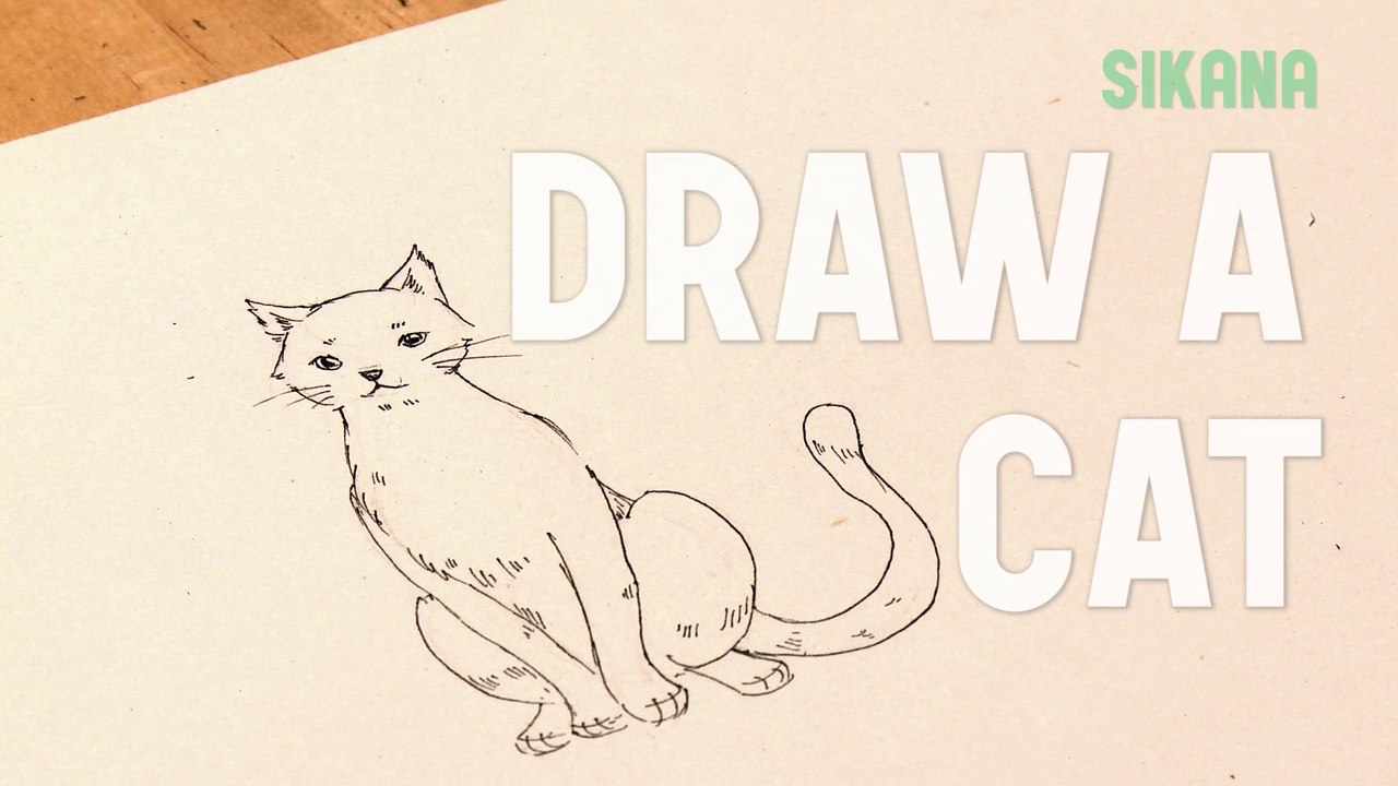 How to Draw a Cat