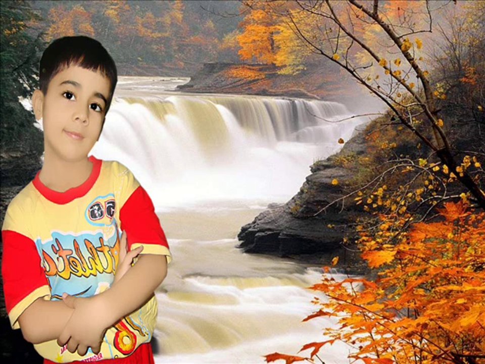 alihaider