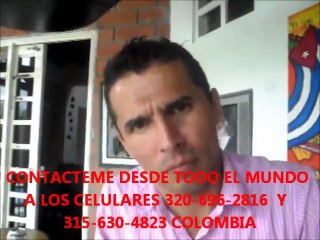 HAGA U YO LO ASESORO TODO