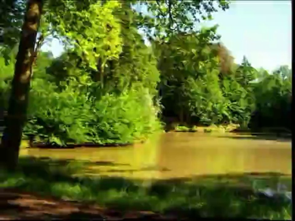 Fanchon la vielleuse dans les rues de Paris - Réflexions sur les musiques populaires au milieu du XVIIIe siècle