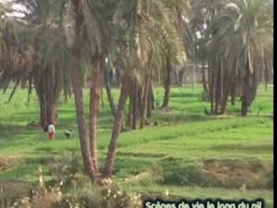 Croisiere en Egypte de Louxor à Assouan