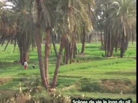 Croisiere en Egypte de Louxor à Assouan