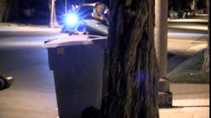 Bacak kadar boyuyla herkesi korkuttu