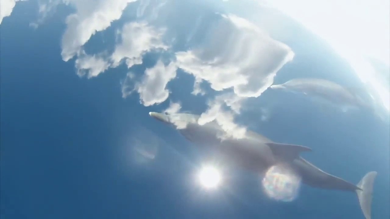 GoPro : Ces dauphins donnent l'illusion de nager dans le ciel.