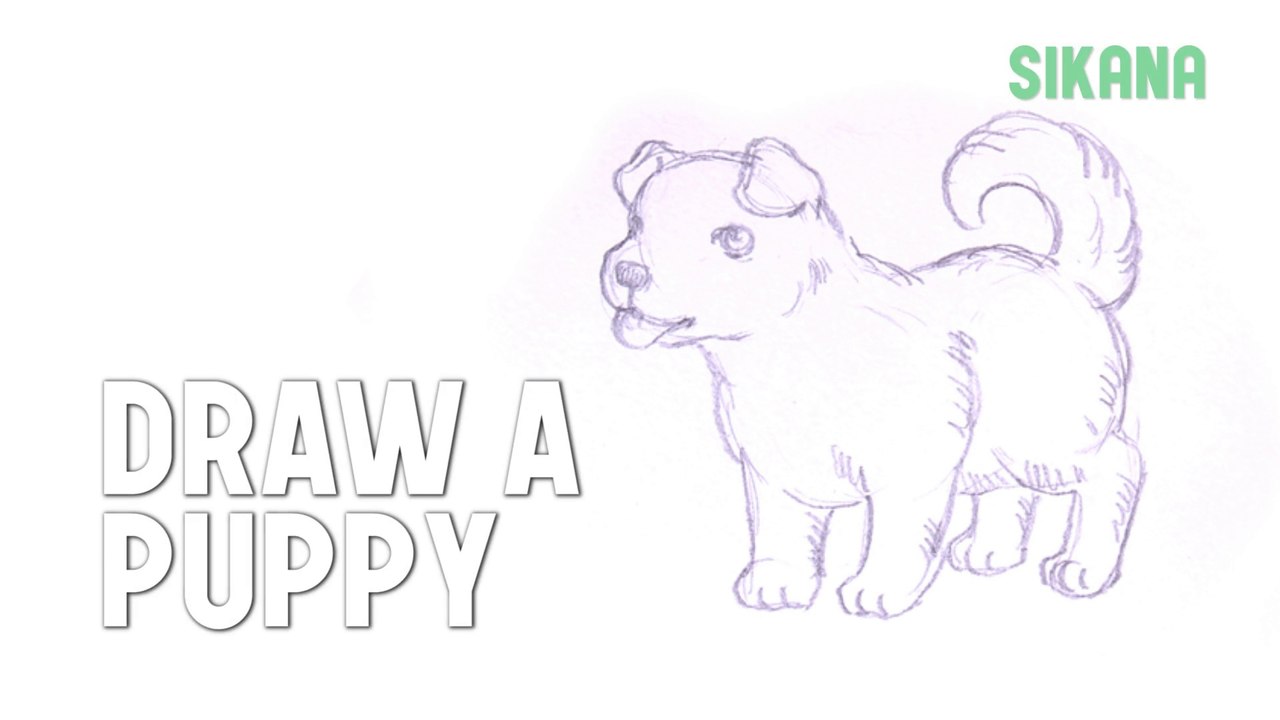 How to Draw a Puppy