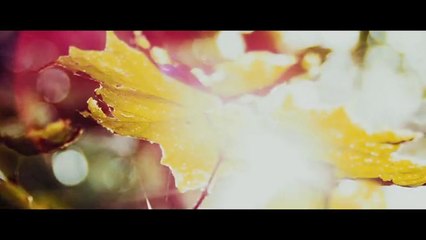 Shut the World Out - Zameer ft. Ali Noor