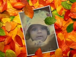 Rashid mahmood gaggoo mandi ch193eb (3)